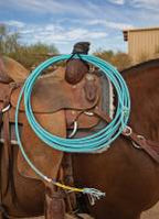 Professional Choice Bungee Rope Holder